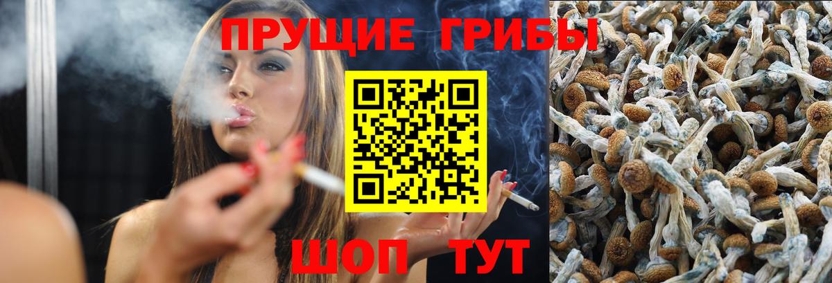 Тельмана  Псилоцибиновые грибы Magic Shrooms  Псилоцибиновые грибы Psilocybe  Вход с VPN 