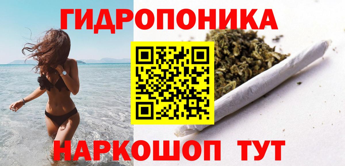 Бошки марихуана марихуана Тельмана